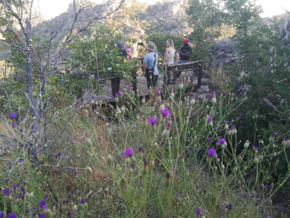 Askiesbos - Samochima Bush Camp Shakawe المظهر الخارجي الصورة