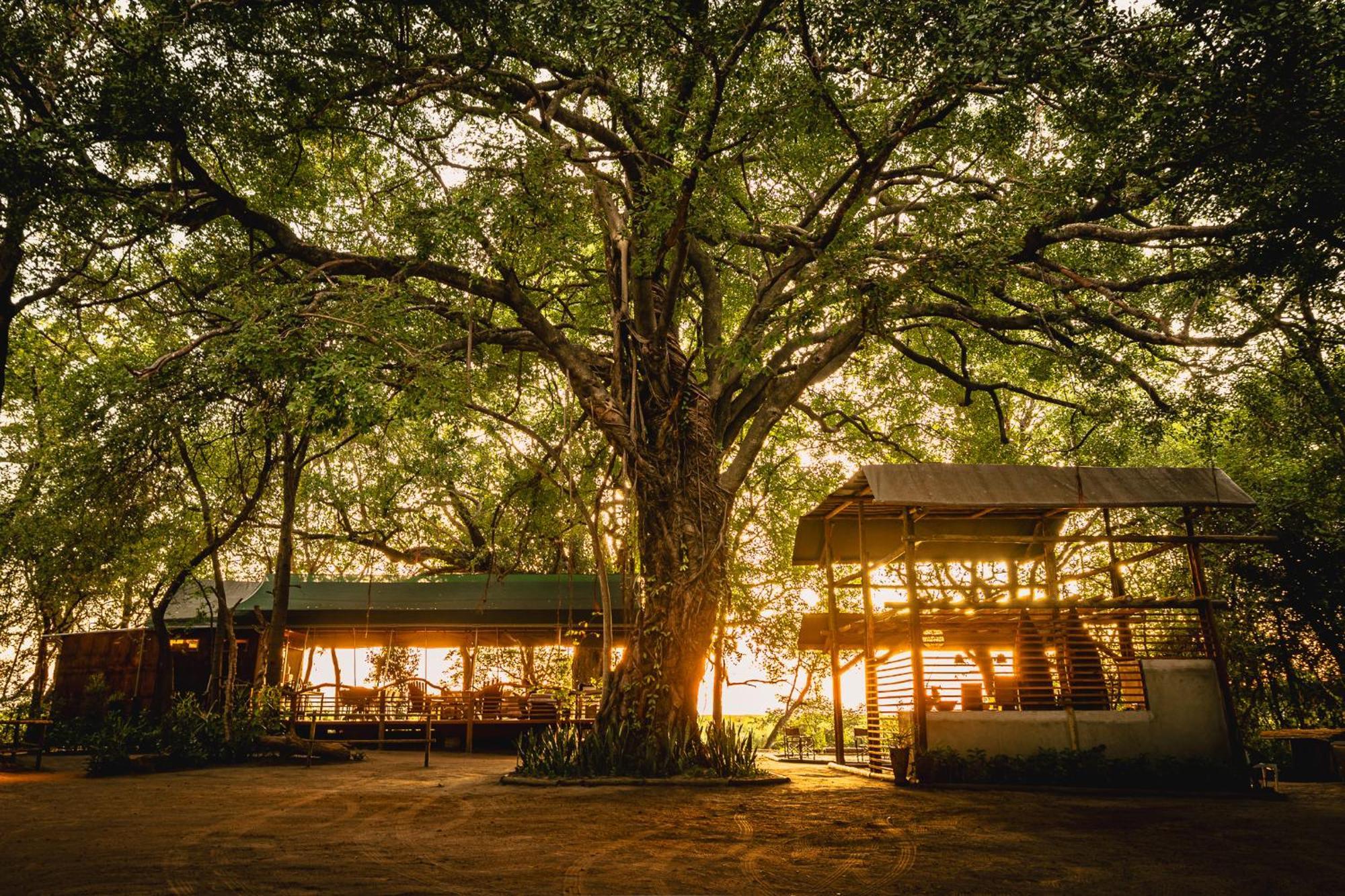Askiesbos - Samochima Bush Camp Shakawe المظهر الخارجي الصورة
