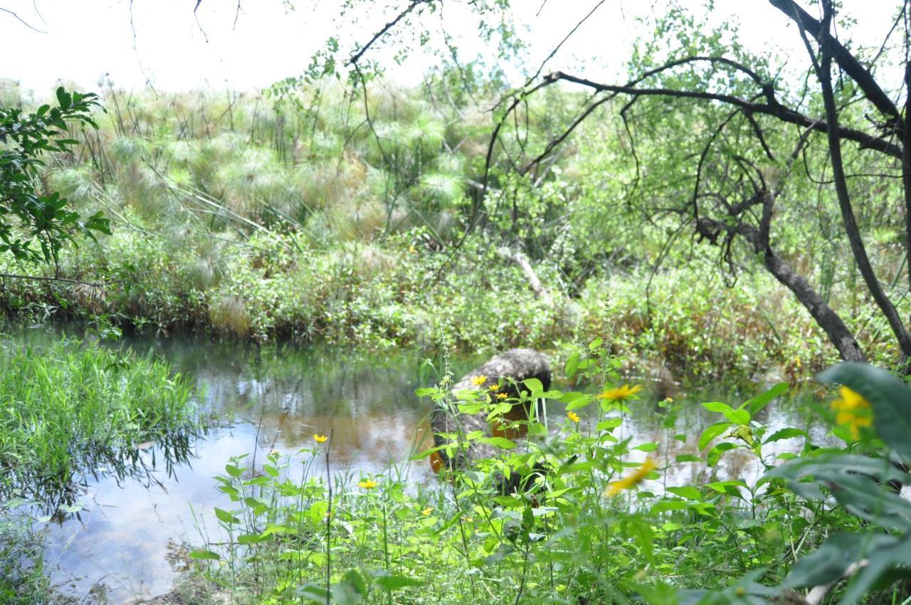 Askiesbos - Samochima Bush Camp Shakawe المظهر الخارجي الصورة